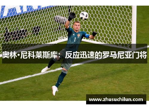 奥林·尼科莱斯库：反应迅速的罗马尼亚门将