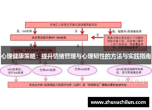 心理健康策略：提升情绪管理与心理韧性的方法与实践指南