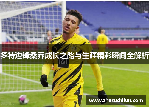 多特边锋桑乔成长之路与生涯精彩瞬间全解析