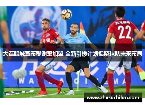 大连鲲城宣布穆谢奎加盟 全新引援计划揭晓球队未来布局